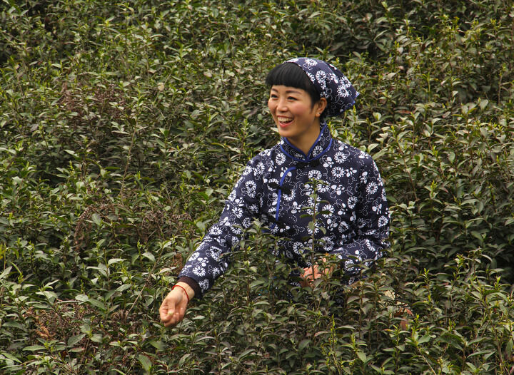 183间房主播跳舞 片单3